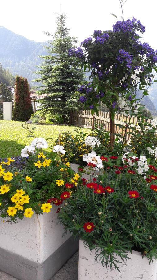Haus Edelweiss Bed & Breakfast Jerzens Luaran gambar